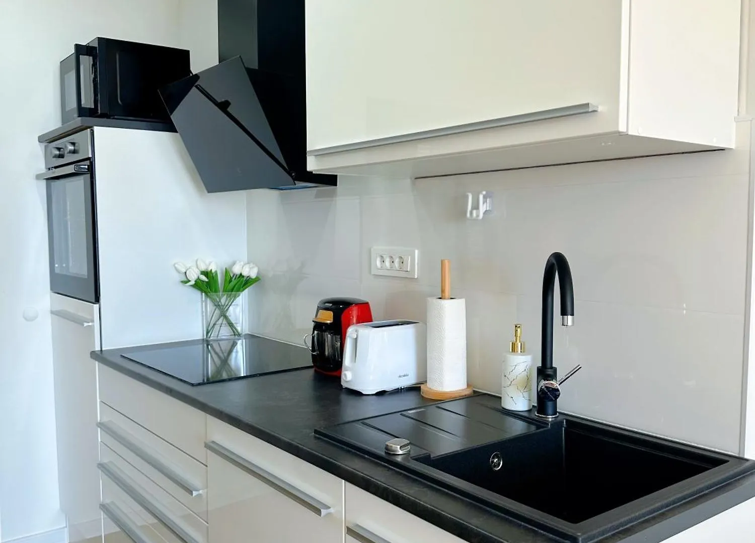 Luxury Apartment Ames רייקה